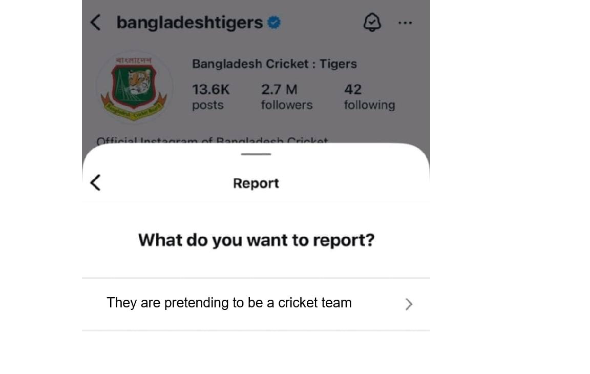 they are pretending to be cricketer